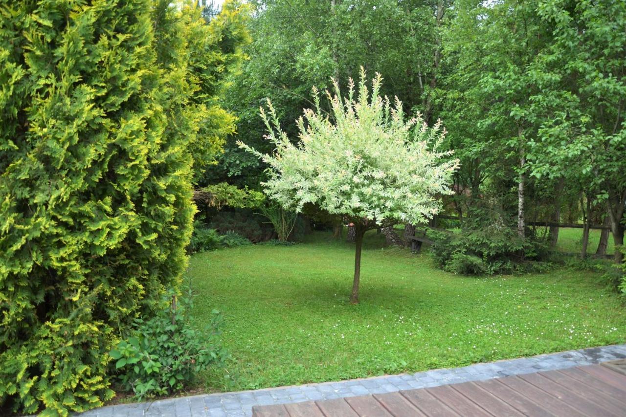 Domki Letniskowe Pod Lasem Koziniec Buitenkant foto