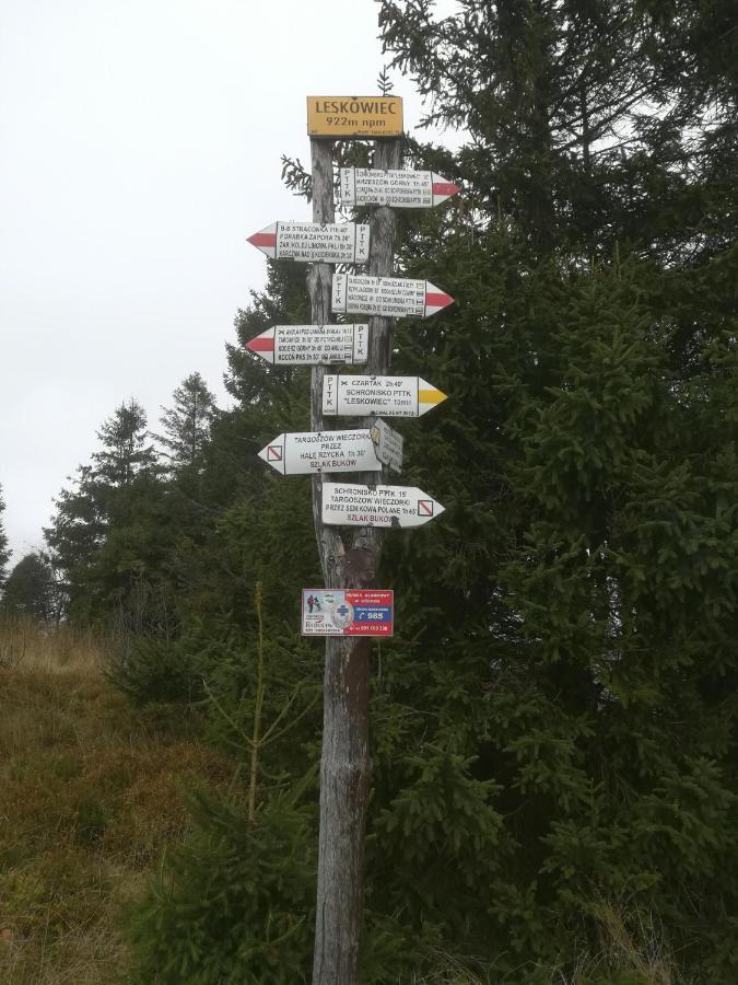Domki Letniskowe Pod Lasem Koziniec Buitenkant foto