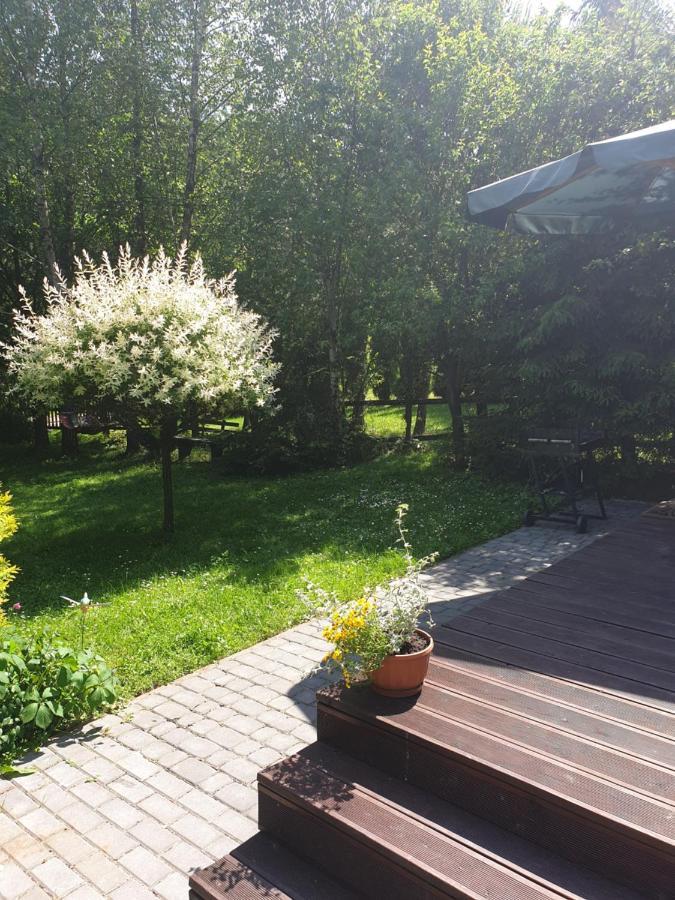Domki Letniskowe Pod Lasem Koziniec Buitenkant foto