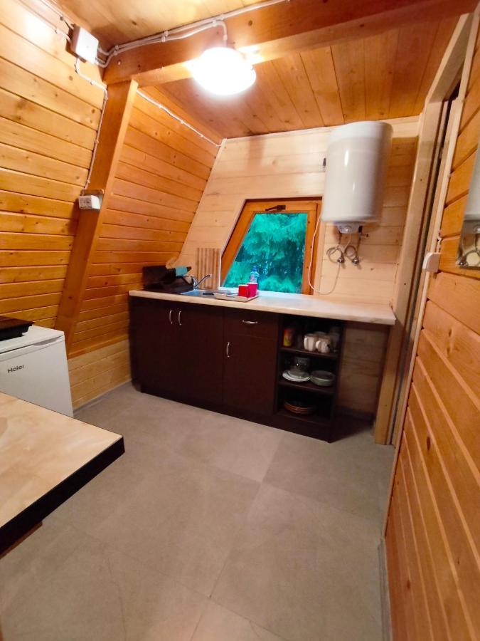 Domki Letniskowe Pod Lasem Koziniec Buitenkant foto